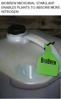BioBrew microbial stimulant enables plants to absorb more nitrogen.