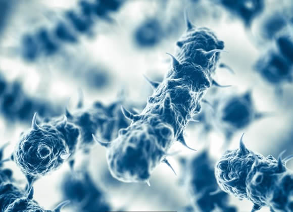 Pathogenic Microbe